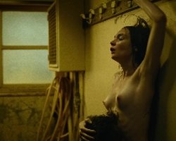 Preview Scene 166248