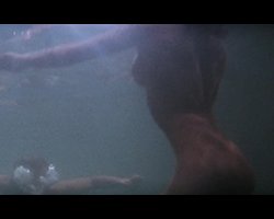 Preview Thumbnail for scene 166499