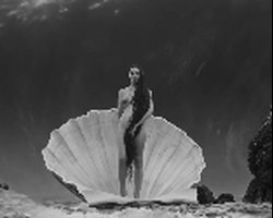 Preview Thumbnail for scene 166293