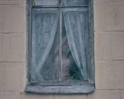 Miniatura di anteprima per la scena 158484