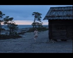 Preview Scene 166685