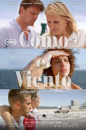 Poster of Como el viento