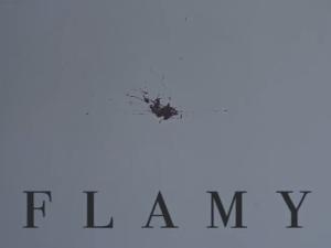 Poster for Flamy (short) (2020)