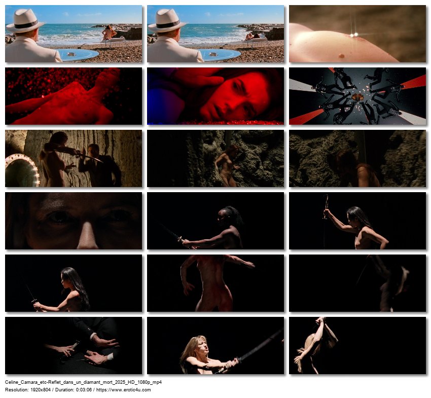 Preview for Reflet dans un diamant mort