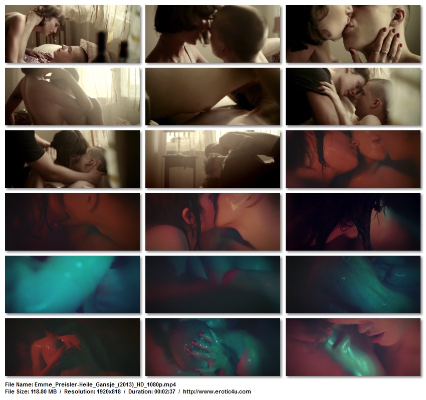 Preview for Heile Gänsje (short)