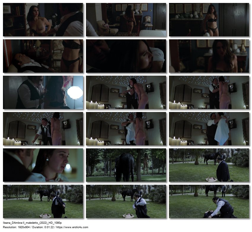 Preview for Il maledetto