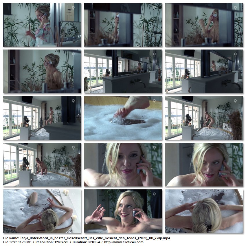 Preview for Mord in bester Gesellschaft (series)