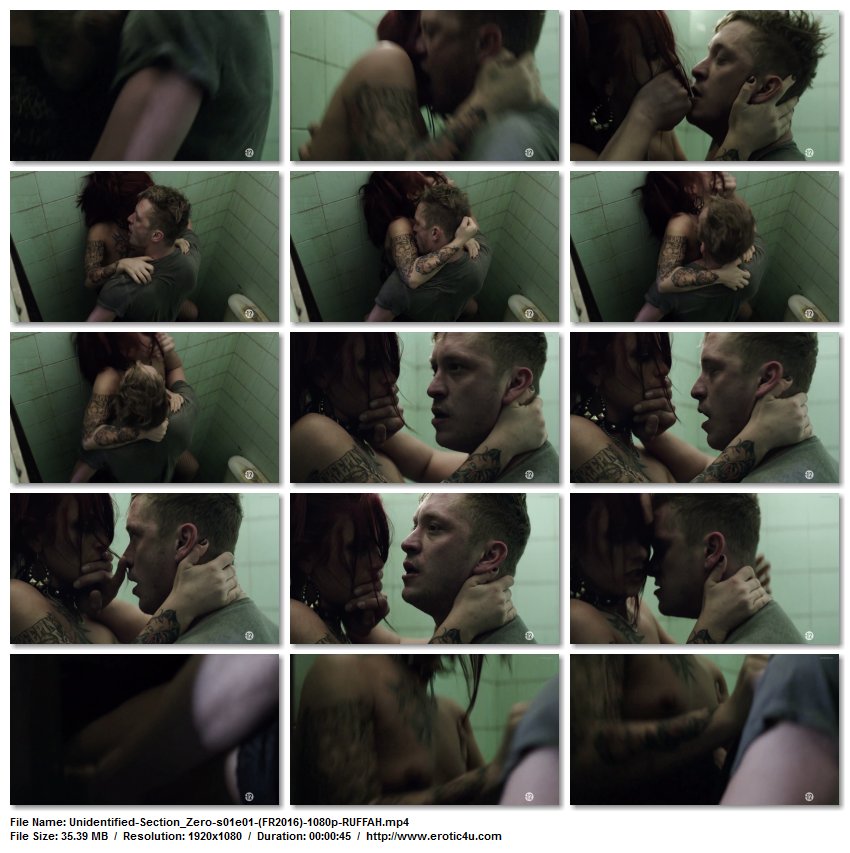 Preview for Section zéro (series)