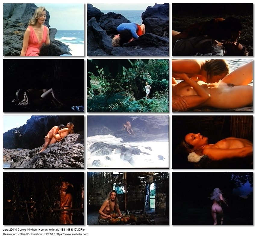 Preview for Animales racionales